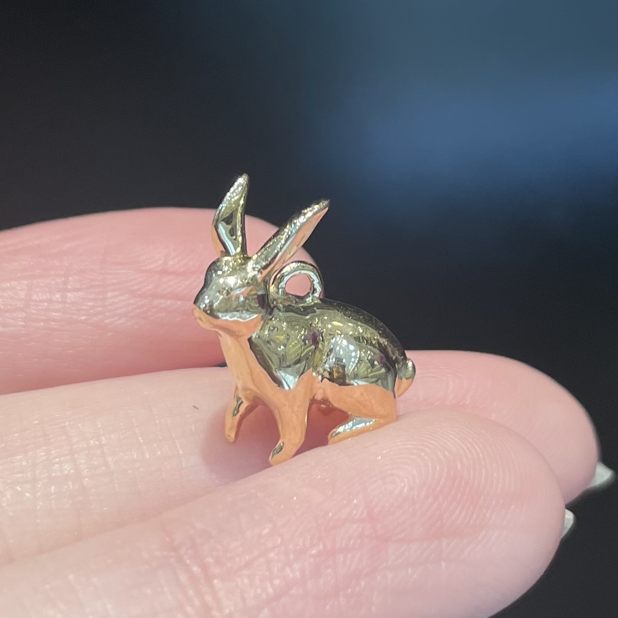 Chinese Zodiac signs (12animals)